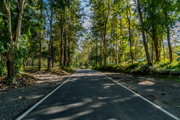Asphalt country road