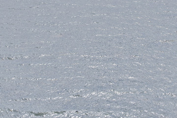 gray sea surface
