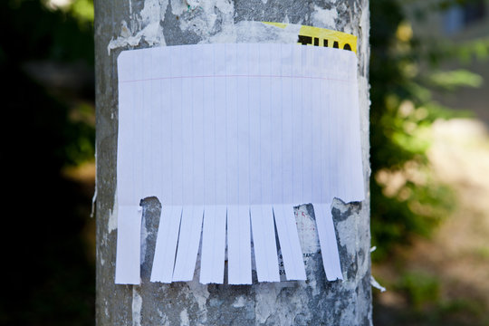 Blank White Paper With Tear Off Tabs.