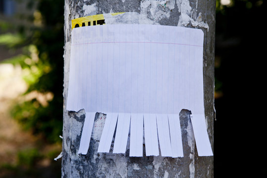 Blank white paper with tear off tabs.