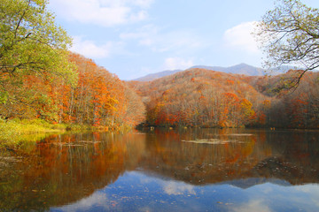 秋の曲沢沼（裏磐梯・北塩原村）