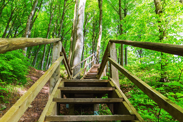 wooden stairs in the Jasmund National Park, Ruegen, Germany