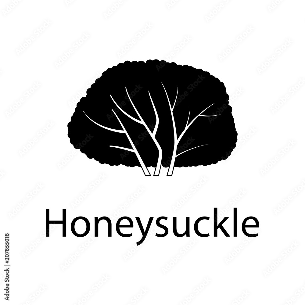 Poster honeysuckle tree illustration. element of plant icon for mobile concept and web apps. detailed honey