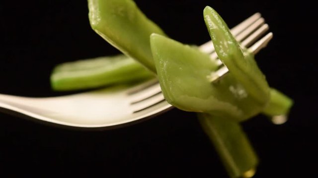Phaseolus vulgaris Լոբի Peas インゲンマメ Piselli שעועית מצויה Tegolina mangiatutto video Piattoni Gartenbohne Piattone Taccole Fagioli corallo インゲンマメ Fagiolini Taccola 