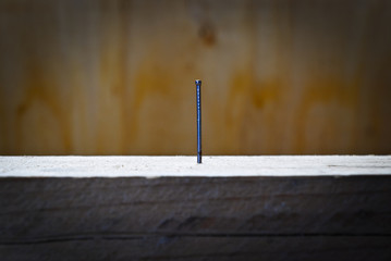 Nail on wooden floor