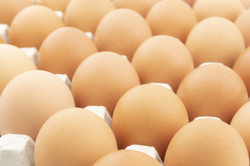 row of chicken eggs in paper tray