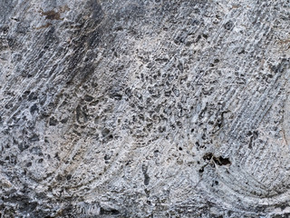 Stone texture, limestone, background