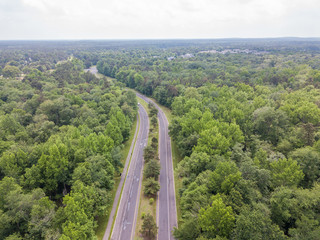 Road in the forest