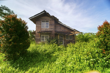 Old deserted house overgrown with bushes