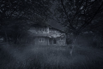 Obraz premium Spooky wooden house at night time