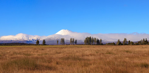 Tongariro National Park landscape panorama