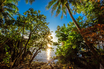 Fototapeta premium The beautiful sunset is the way of life in the community.