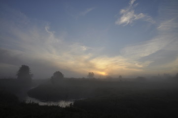 Fototapeta premium паутина