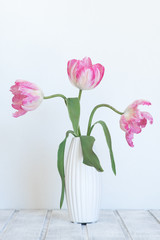 Rosa Tulpen (Stillleben)