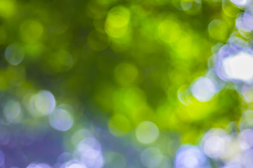 Sparkling spot light bokeh Blur from the natural sunlight, brigh