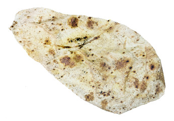 The skin of boiled potatoes is similar in texture and shape to the microorganism - amoeba