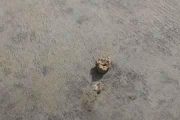 stone on a concrete ground