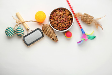 Cat's accessories and food on white background