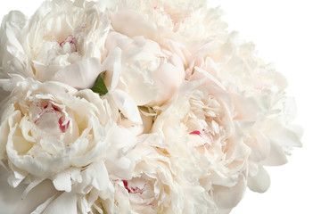 Beautiful blooming peony flowers on white background, closeup © New Africa
