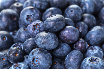 Freshly picked blueberries