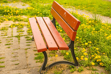 park bench within green