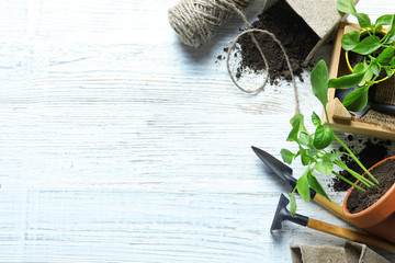 Flat lay composition with gardening tools and plants on wooden background