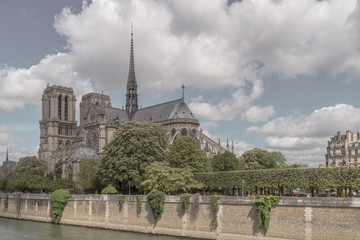 Fototapeta na wymiar The Cathedral of Notre Dame de Paris