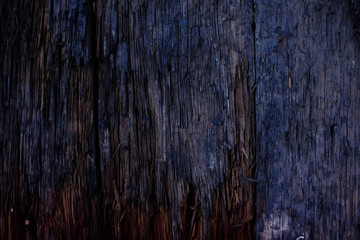 Close-up of Firewood surface with old natural pattern,Dark wood texture.