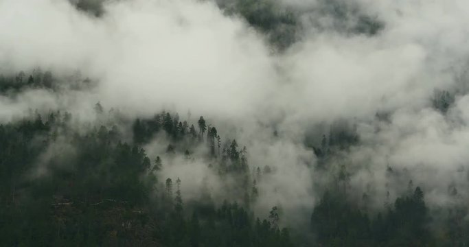 4k time lapse of mountain mist rising in the morning,fog pine trees,such as wonderland.Bomi County in tibet,the largest precipitation area in China.