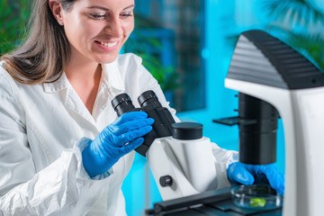 Examining plant tissue with microscope