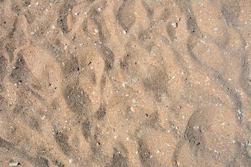 Pieces of broken seashells in the sand on the beach, Portugal.