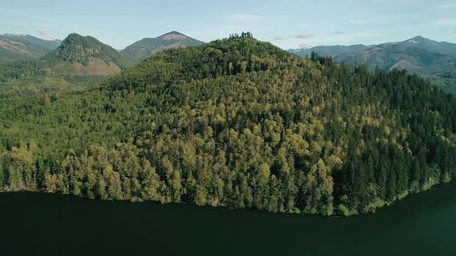 Thick Green Trees Forest Lake Aerial