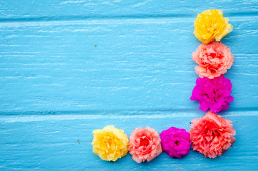 beautiful flower on blue background,top view ,break time,empty space.