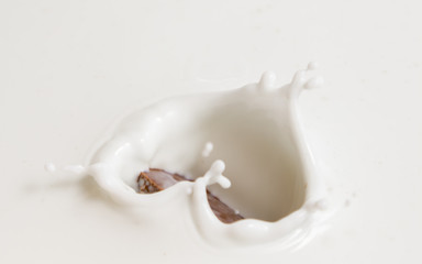 Chocolate falls in milk