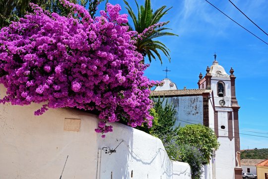 View of the Gothic cathedral (Igreja da Misericordia) with bougainvillea in the foreground, Silves, Portugal.