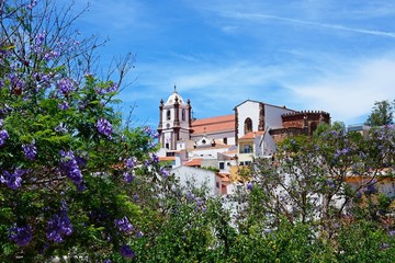 View over the town rooftops towards the Gothic cathedral (Igreja da Misericordia) with Jacaranda...