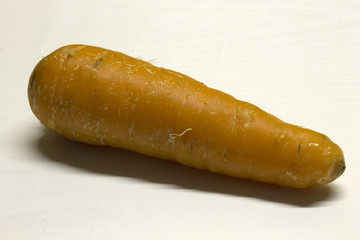 Carrot isolated on a White textured background with a dark shadow