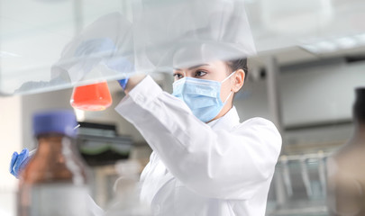 Female scientist looking at the sample in laboratory