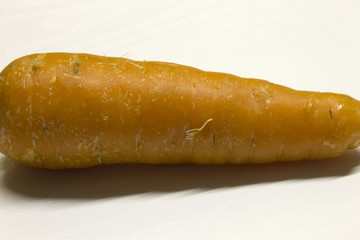 Carrot isolated on a White textured background with a dark shadow