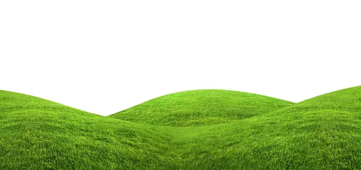 Fotobehang Heuvel Groen gras textuur achtergrond geïsoleerd op een witte achtergrond met uitknippad.