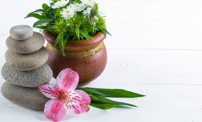 SPA accessories for massage in a composition on a light background