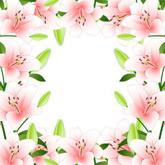 Pink Lily Border on White Background