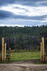 Wood Corral Gate Opens up into a Meadow with the Tree-Covered Hills of the Colorado Rocky Mountains in the Distance