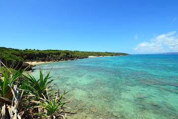 Fototapeta premium 沖縄の青い海
