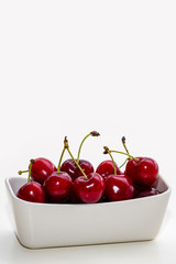 Large cherry in a white vase on a white background. Vertically.