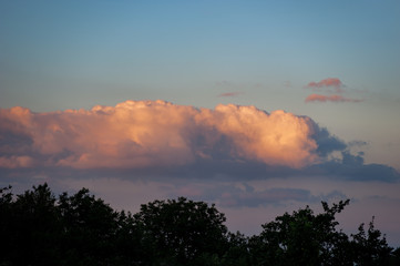 Fototapeta na wymiar A huge pink cloud above the trees