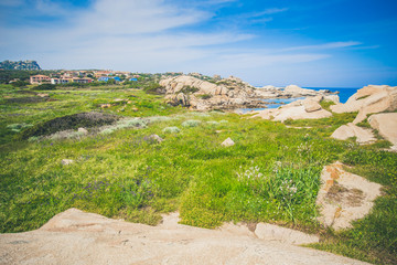 Obraz premium Printemps à Capo Testa