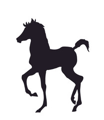 Fototapeta na wymiar horse standing, silhouette, vector
