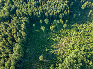 drone image. aerial view of rural area with fields and forests