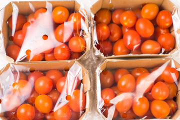 ripe cherry tomatoes packages in box and plastic